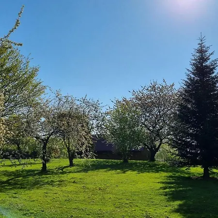 Gutshof Kaemmerich - Dachshoehle Apartmán Altkalen